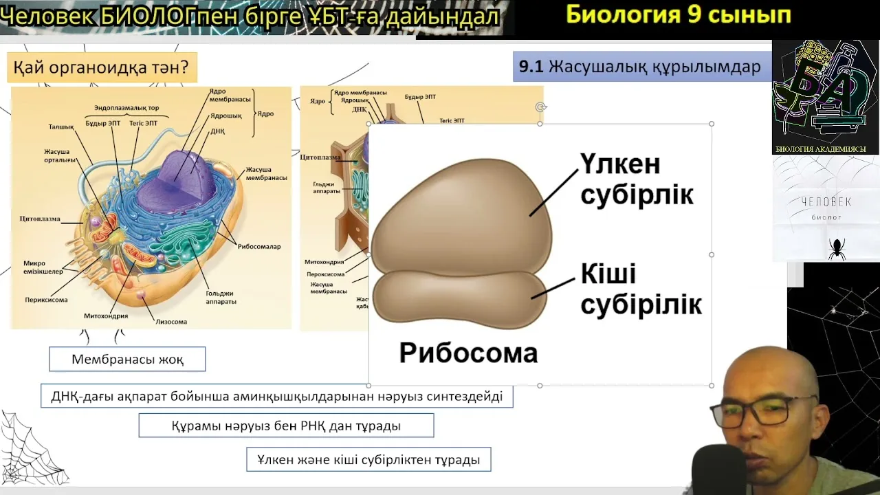 Топтық жыныстық қатынасты көрсететін орыс порно фильмдері