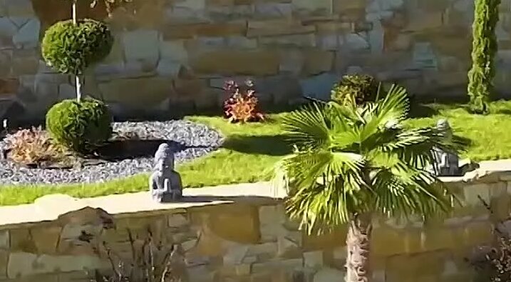 Видео Как освободиться от боли в спине пояснице и ногах Упражнение ...