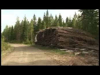 Фильм выставка