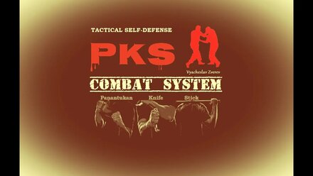 ВАРИАНТЫ КОНТРАТАКИ ОТ БИТЫ/COUNTERATTACK OPTIONS FROM THE BAT