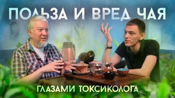 Польза и вред чая | Алексей Водовозов — Видео от Здоровье и Интеллект