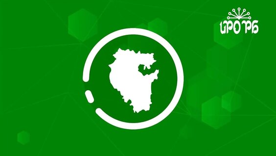 Организация профессиональной ориентации младших школьников в урочной и внеурочной деятел…