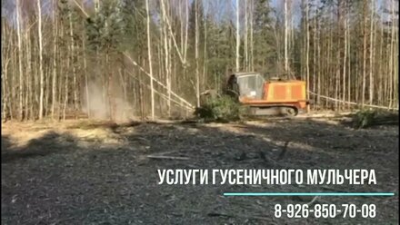 Расчистка мощным гусеничным мульчером