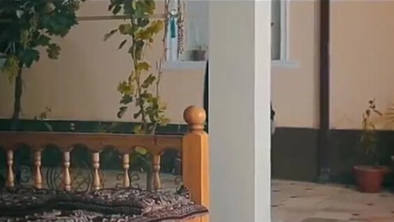 Seks video porno homilador ru