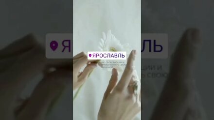 Аффирмация: я принимаю свои эмоции и позволяю им выполнять свои функции