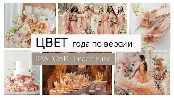 Самый популярный цвет для свадьбы в 2024 году по версии Pantone! Как выбрать ЦВЕТ для своей свадьбы_...