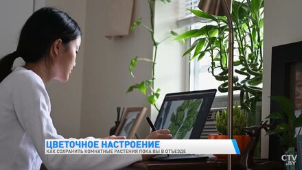 Как сохранить комнатные растения пока вы в отъезде ?