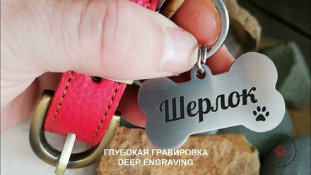 Адресник для собаки Косточка нержавеющая сталь с гравировкой