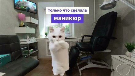 Видеоролик для группы ВКонтакте Nail Studio Maria Permyakova