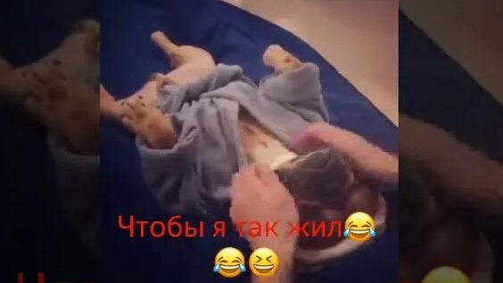 Регистрациясыз секс: жастармен аталарды қараңыз