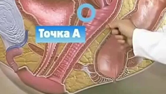 Jinsiy aloqada bolgan yosh qizlar HD video