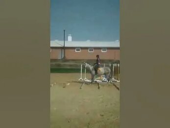Работа на кавалетти