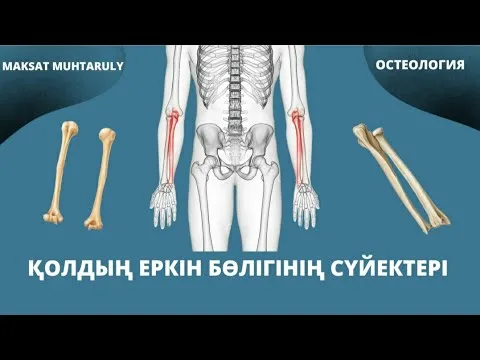 Желіде экстремалды секс порно көру