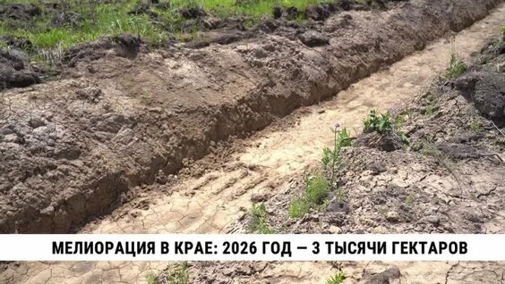Мелиорация в крае: 2026 год — 3 тысячи гектаров — Видео от Телеканал «Хабаровск»