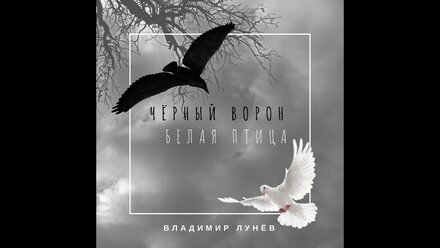 Владимир Лунёв - Черный ворон, белая птица