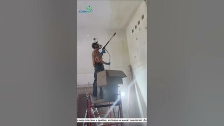 Удаление плесени и грибка в помещении | ДЕЗ Комфорт