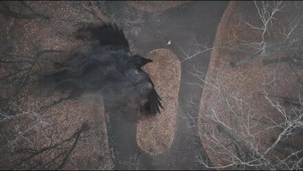 Владимир Лунёв - Черный ворон, белая птица
