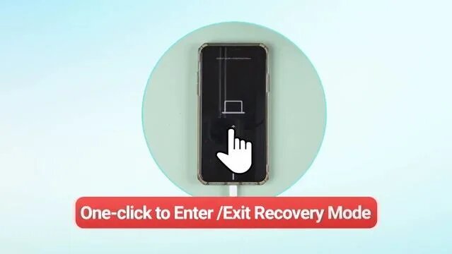 [2024] How to Enter/Exit Recovery Mode|Support.apple.com/iphone/restore ...