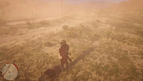 Rio Grande Turkey rdr2 (Риограндская дикая индейка) - Смотреть онлайн в ...