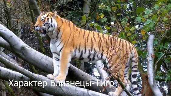 Джессика Джейн Клемент жалаңаш бейне