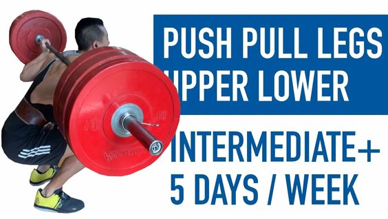 Push Pull Legs Upper Lower Split | Full Pplul Program (Intermediate+ ...