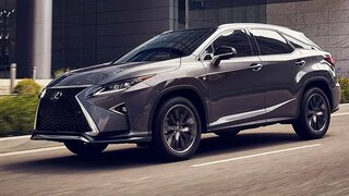 2019 Lexus RX 350 SUV - Lexus RXL, RX Sport