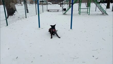 Малинуа Змейка