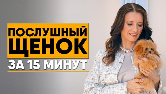 Дрессировка и воспитание щенка дома: с чего начать? Воспитание, социализация, команд...