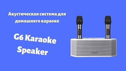 Караоке колонка для дома, два караоке микрофона, Эффекты Hall, Блютуз, USB, Aux, всё включено