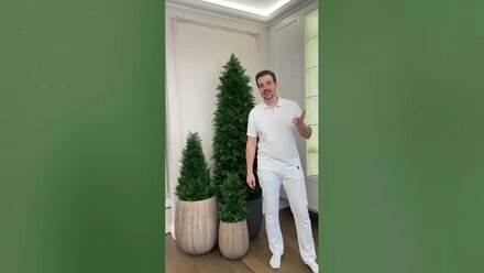 Премиальные искусственные туи от компании «Ну и Туи!»