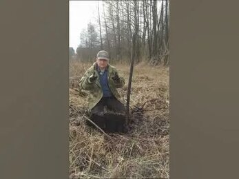 Обучение, как правильно заготавливать корень окопника.