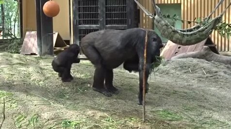 Орыс анасы мен қызы порно онлайн