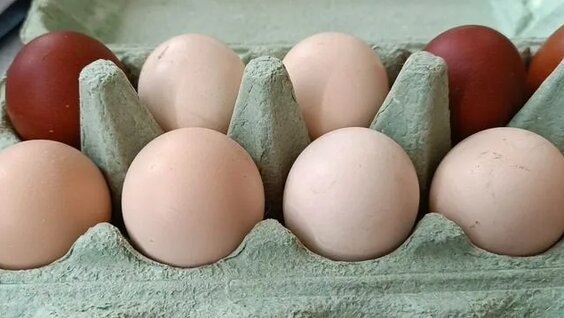 Порно Тажикстан Душанбе