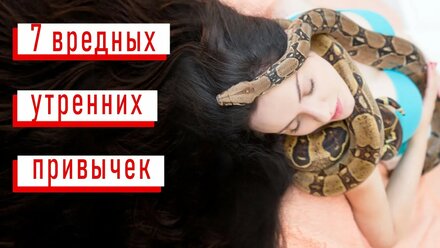 7 вредных утренних привычек | Ариада - психолог со змеями