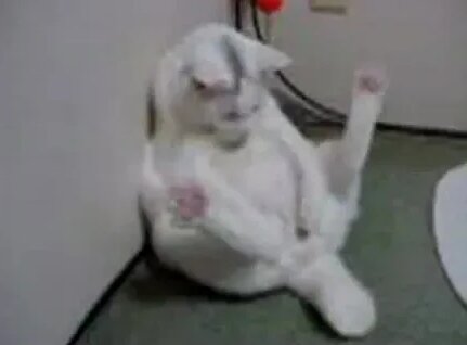 Uy qurilishi blotjobs onlayn video