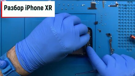 Разборка и сборка iPhone XR