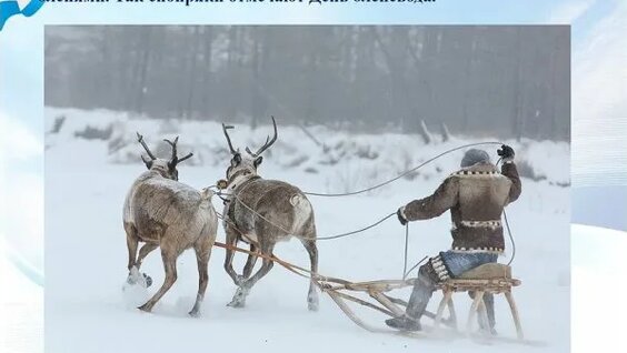 Этнографическая презентация "Народы России - одна семья" — Видео от Библиотека...