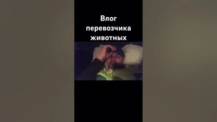 Влог перевозчика животных