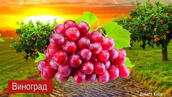 Менің трусикам дымқыл порно