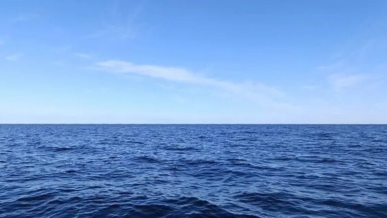 Рыбалка на треску и зубатку на Белом море — Видео от Рыбалка охота туризм Ар...