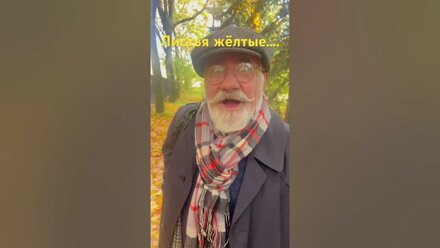 Листья желтые…