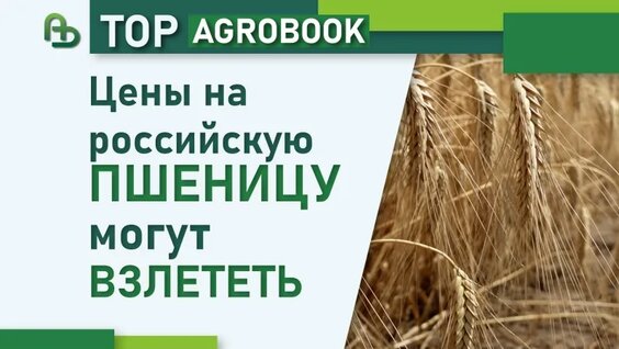 Цены на российскую пшеницу могут взлететь | TOP Agrobook: обзор аграрных новостей — Видео от...