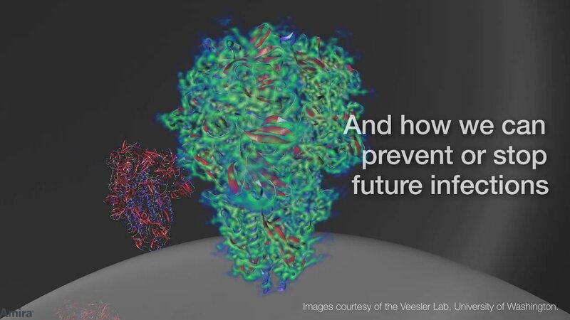 Cryo-EM Reveals Coronavirus Spike Protein Structure | SARS-CoV & MERS ...