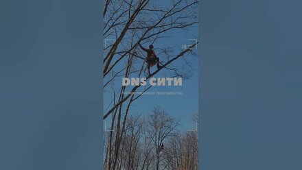 DNS City создание сквера #wood #arbo #стройка#dnscity#dns#arborist#arbopacific