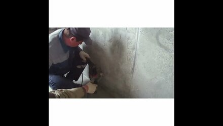 Сверление лунок для подрозетников