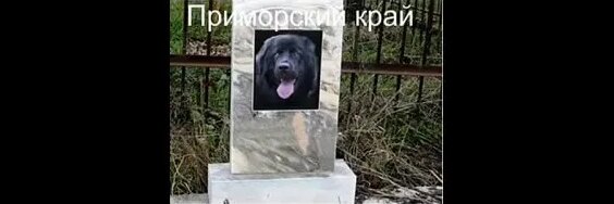 2022 Легенды Владивостока и Приморского края — Видео от РМЦ Приморского края