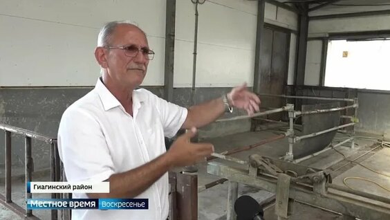 В Адыгее на одну животноводческую ферму стало больше. И это хорошая новость в цело… — Видео …