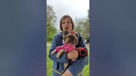Ох уж, эта дочка🙈Если у вас похожая ситуация, я и вас научу грумингу🐶✂️😁@dogdelo