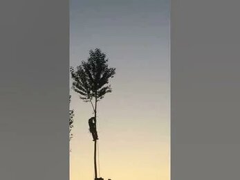 №1 видео