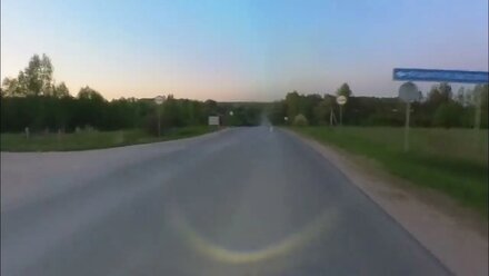 Птичий таран. 03052024